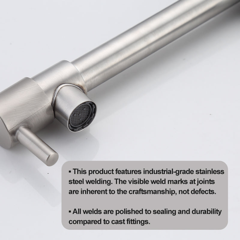 Single-Handle Single Cold Pull-Out Kitchen Faucet Wall Mount Mixer Tap with Two Spray Modes